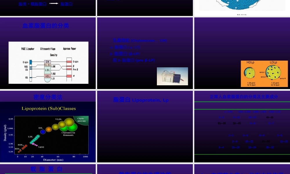 北医八年制血脂2014.pptx