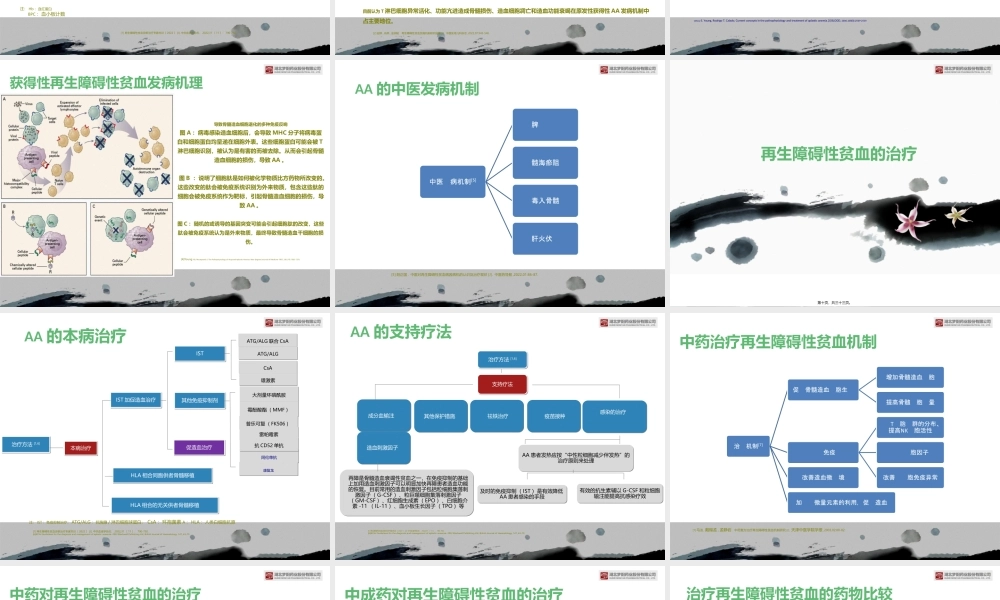 再生障碍性贫血-.ppt