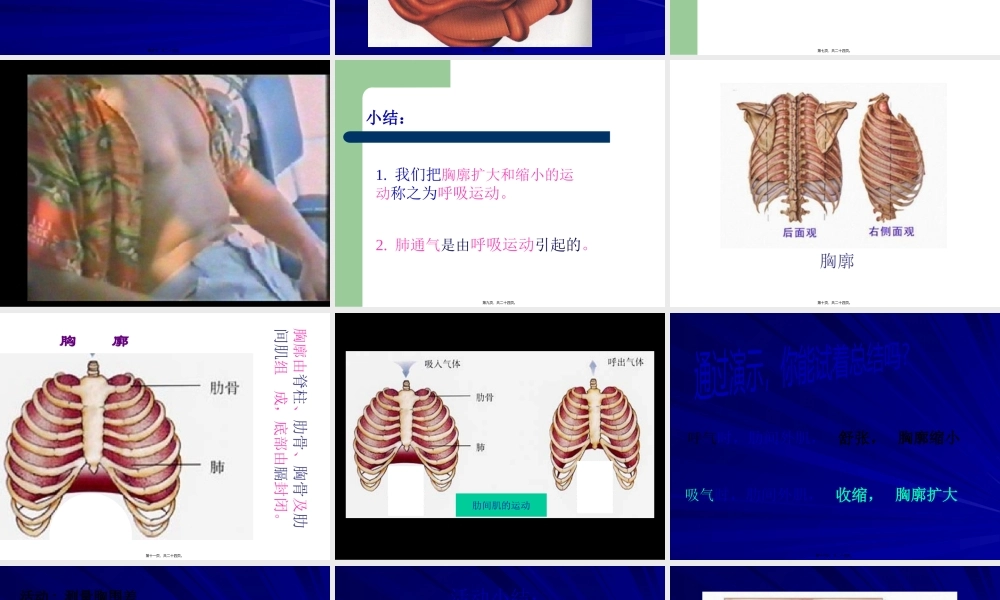 呼吸运动与肺通气.pptx