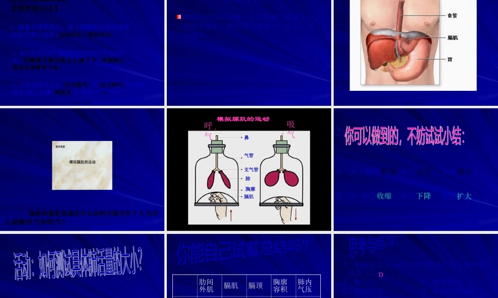 呼吸运动与肺通气.pptx