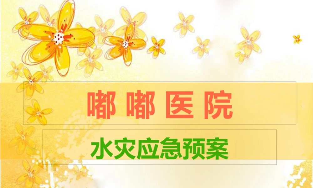 医院水灾应急预案.pptx