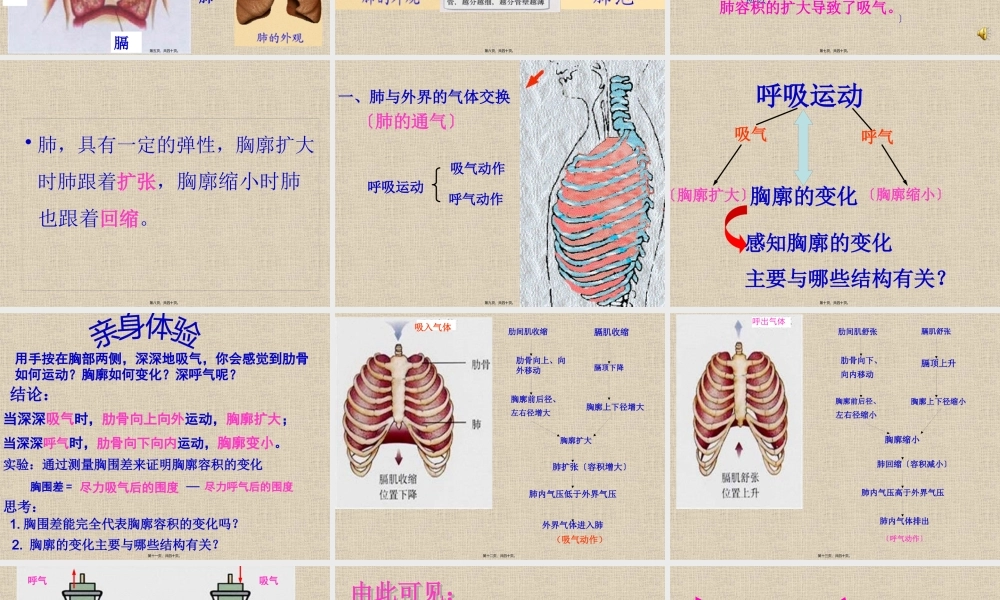 发生在肺内的气体交换-2.pptx