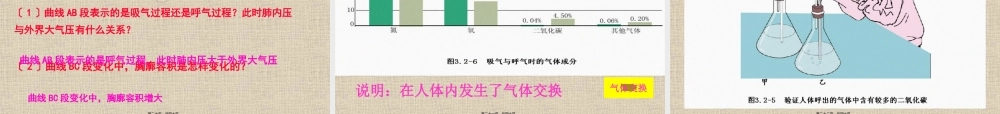 发生在肺内的气体交换-2.pptx