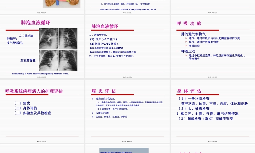 呼吸系统概论.pptx