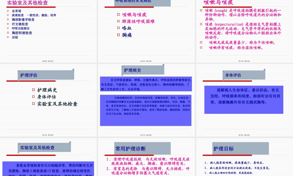 呼吸系统概论.pptx