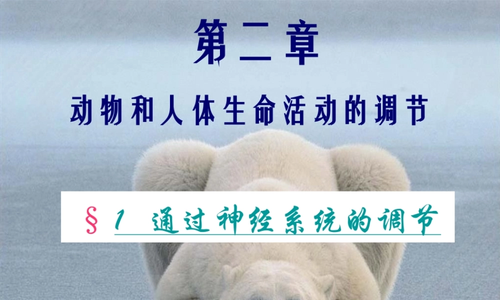 动物和人体生命活.pptx