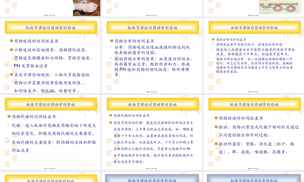 合理选择给药时间.pptx