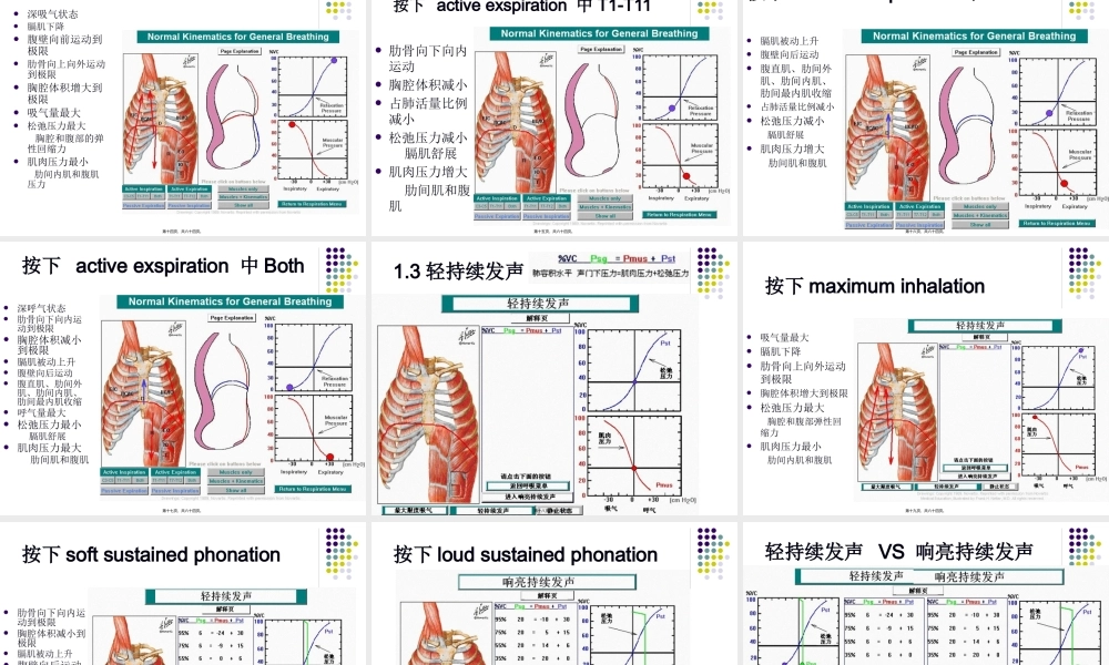 呼吸、发声与韵律.pptx