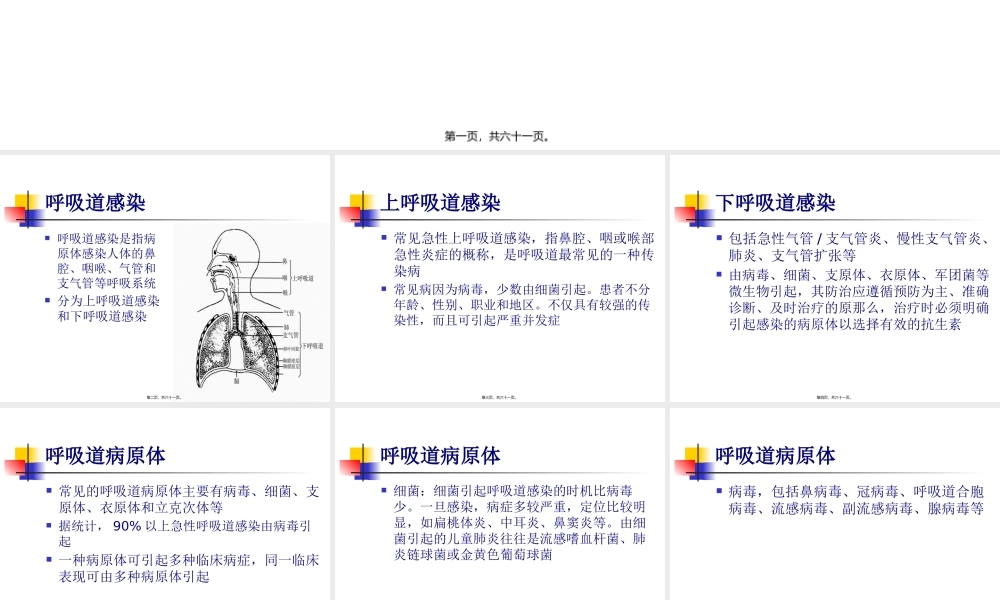 呼吸道病原体检测.pptx