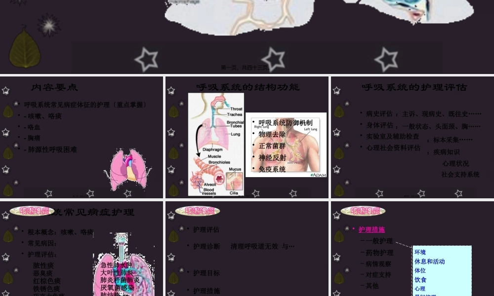 呼吸系统概述与症状.pptx