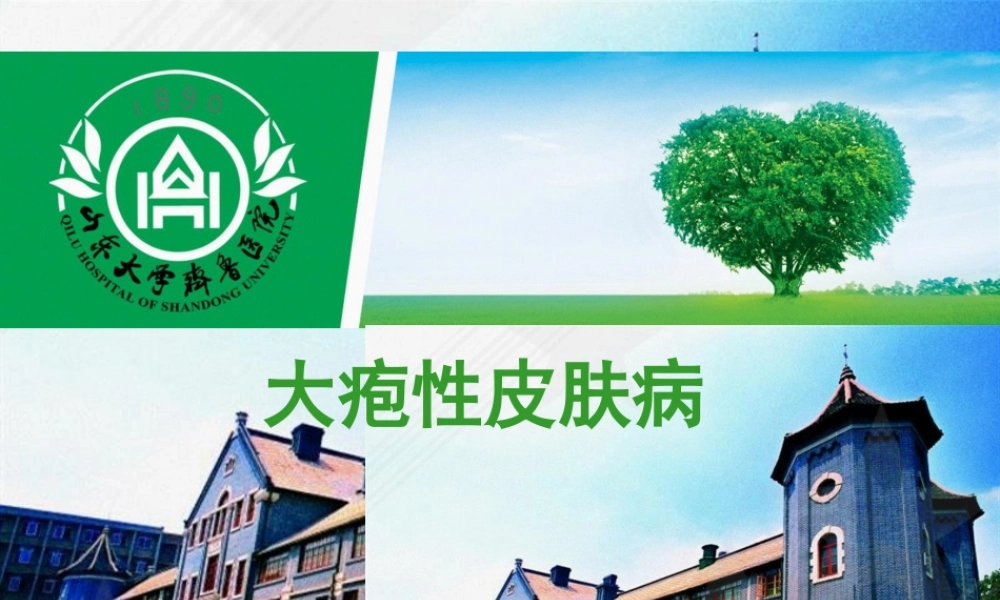 大疱性皮肤病1.pptx