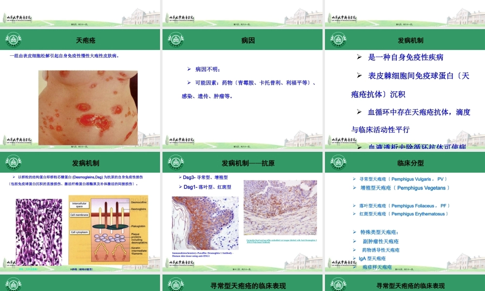 大疱性皮肤病1.pptx
