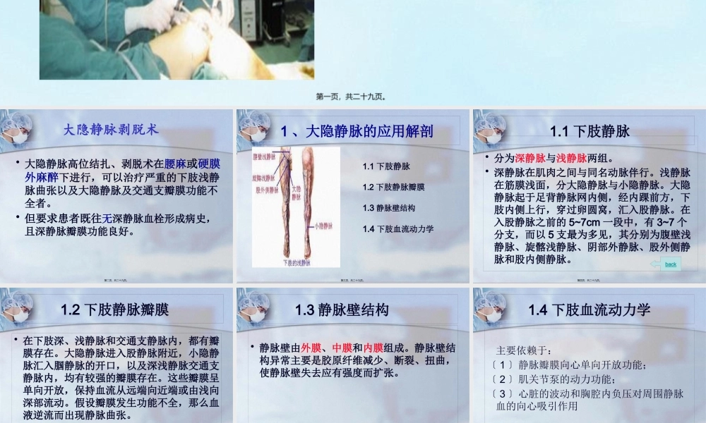 大隐静脉剥脱术.pptx