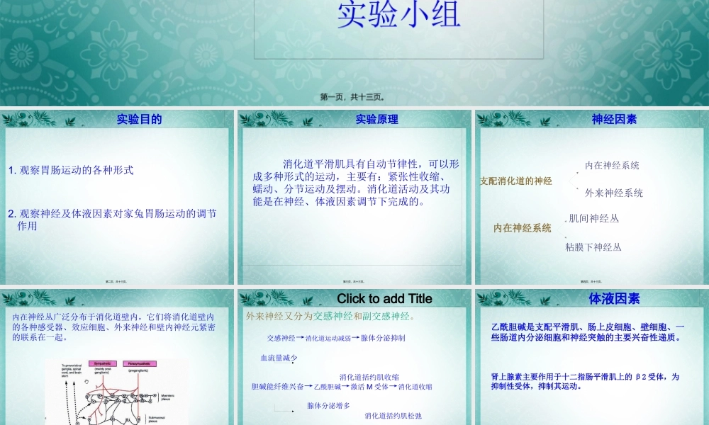 家兔胃肠运动的直接观察.pptx