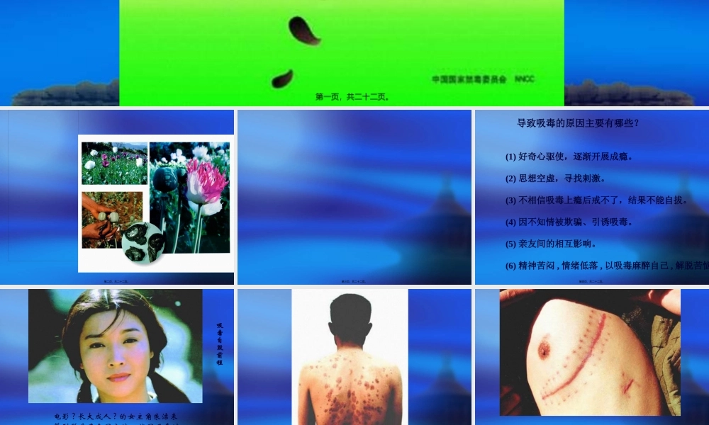 如何防止吸毒.pptx