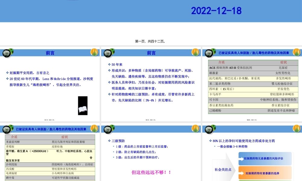 妊娠期用风险评估药.pptx