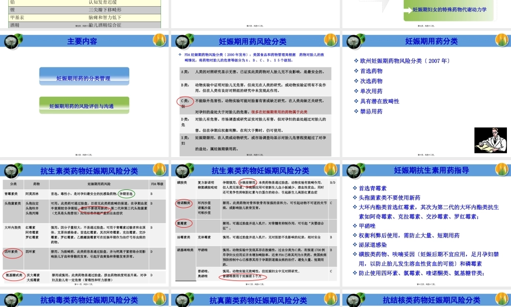 妊娠期用风险评估药.pptx