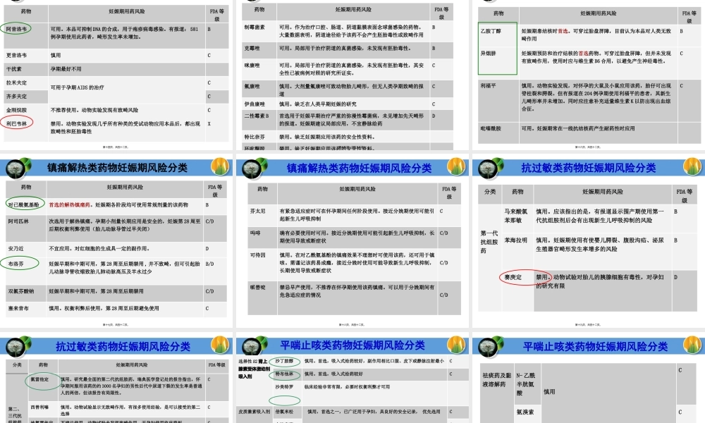 妊娠期用风险评估药.pptx
