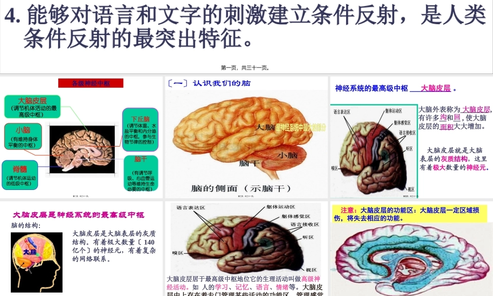 大脑皮层是神经系统的最高级中枢00(1).pptx