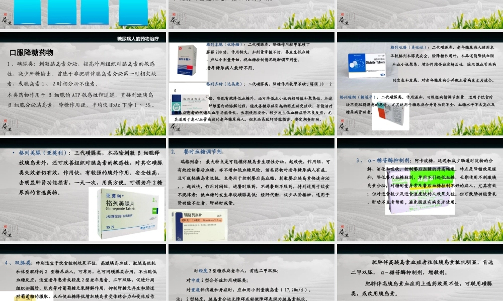 糖尿病与合理用药.ppt