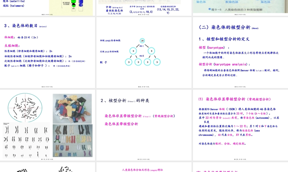 2022年医学专题—染色体遗传2013.ppt