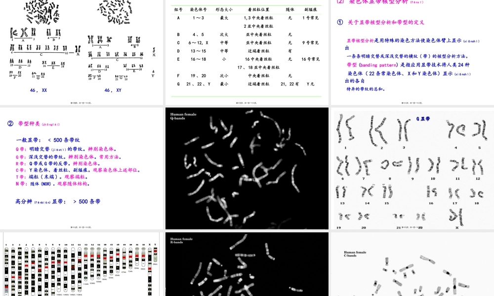 2022年医学专题—染色体遗传2013.ppt