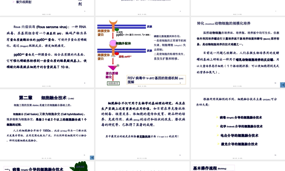 2022年医学专题—细胞工程主要技术.ppt