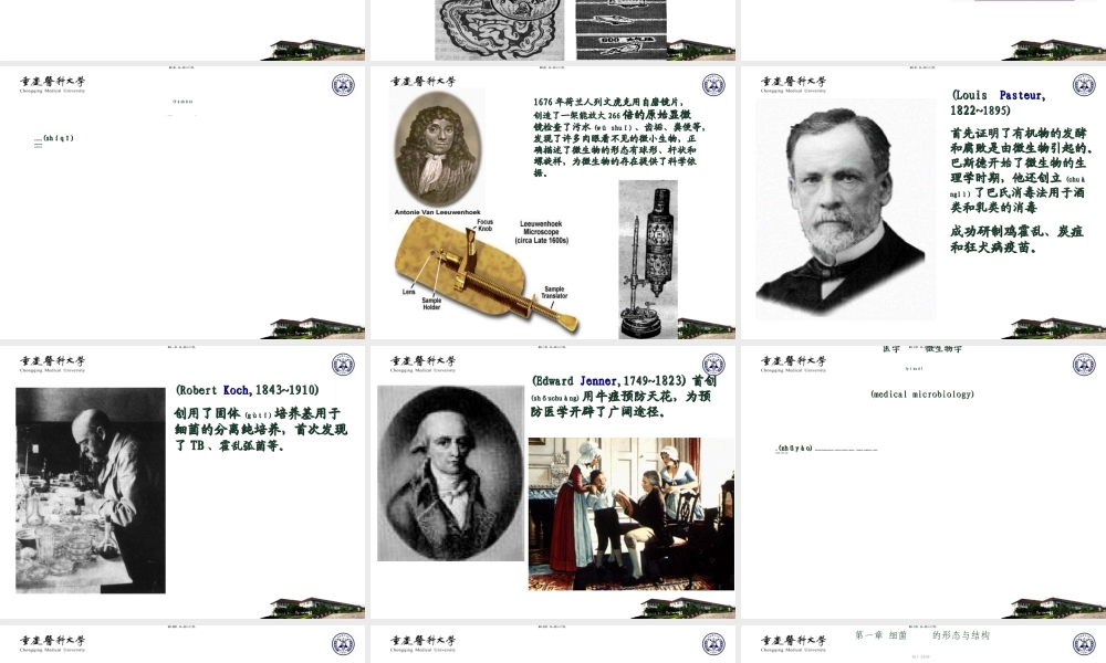 2022年医学专题—细菌总论2012-本科.ppt