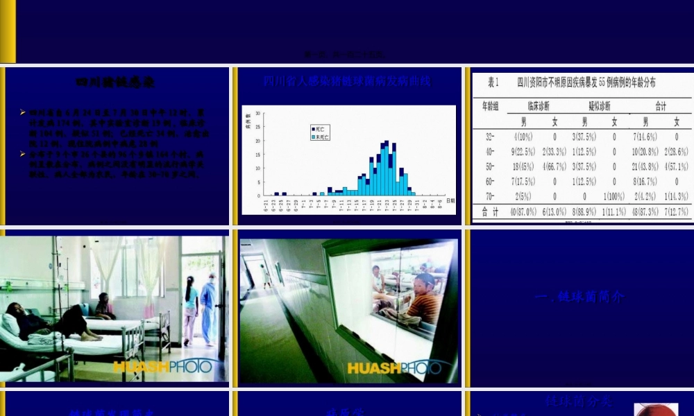 人群重症猪链球菌感染与防制.pptx