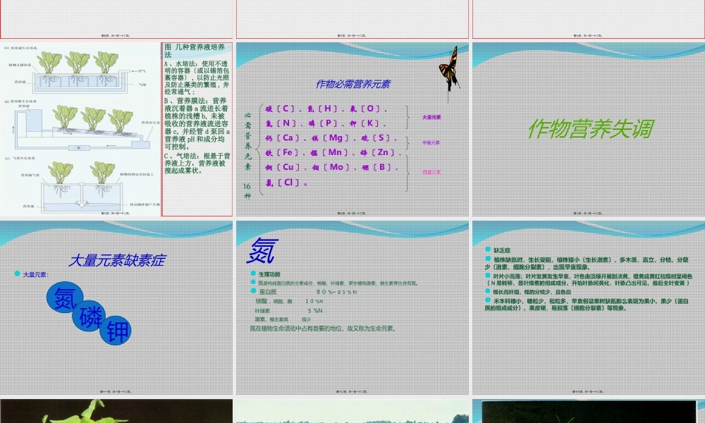 作物的营养元素——大量元素.ppt