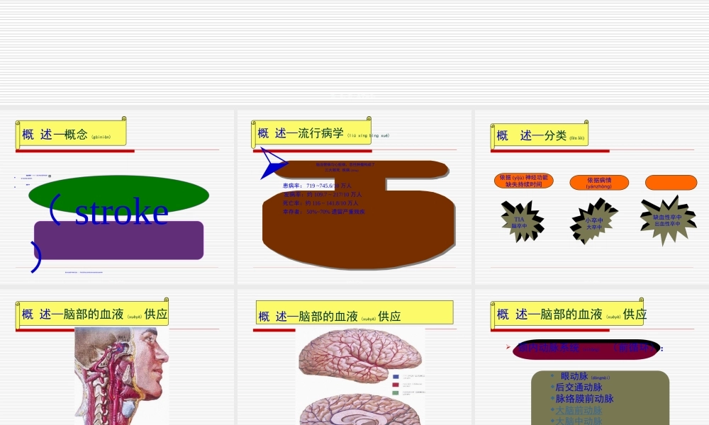 2022年医学专题—脑血管.ppt