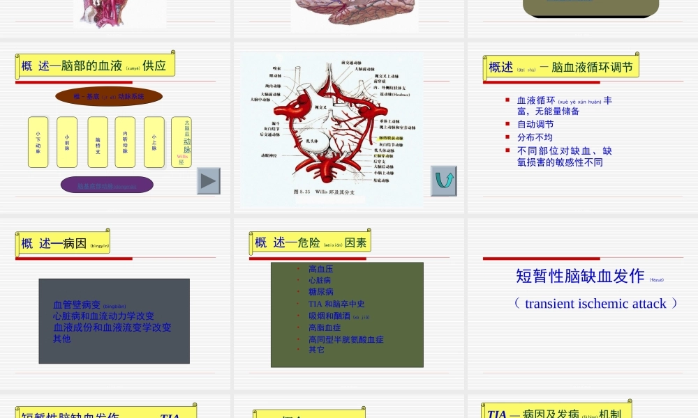 2022年医学专题—脑血管.ppt