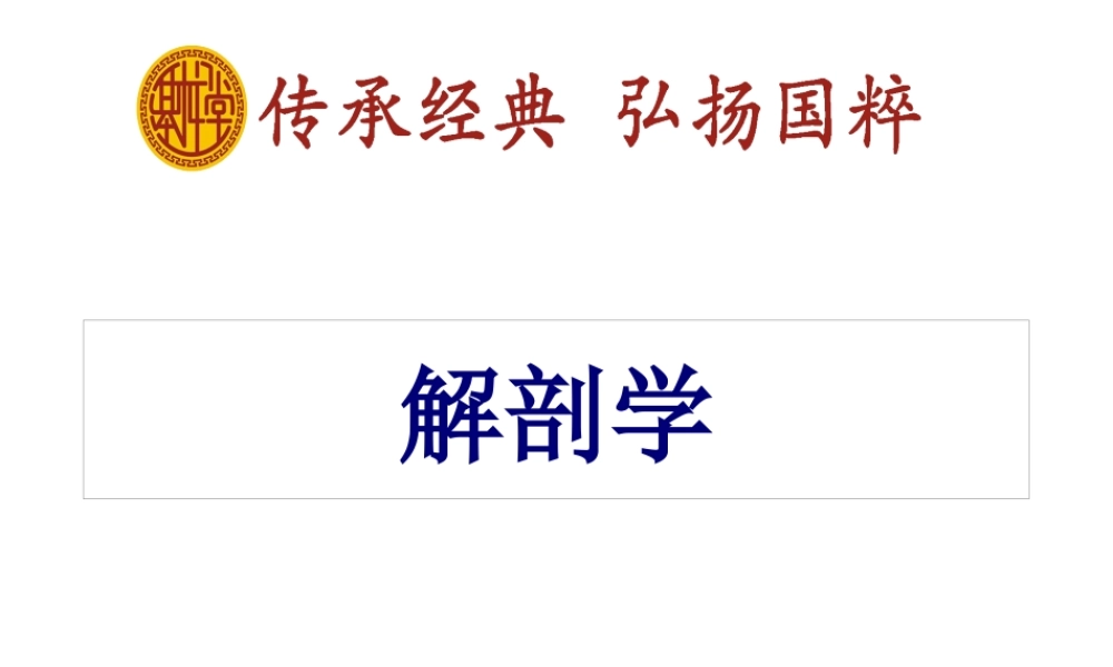 人206块骨的一小部分.pptx