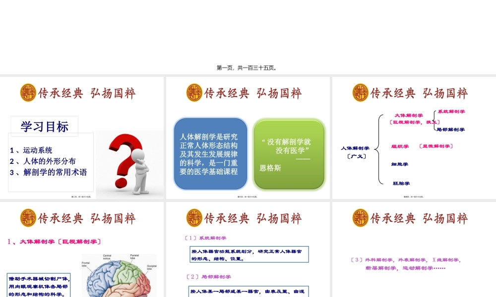 人206块骨的一小部分.pptx