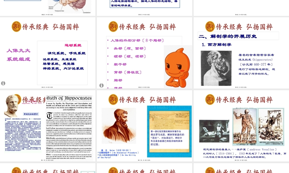 人206块骨的一小部分.pptx