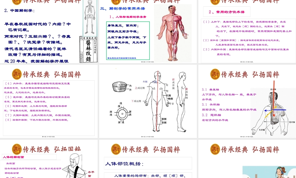人206块骨的一小部分.pptx