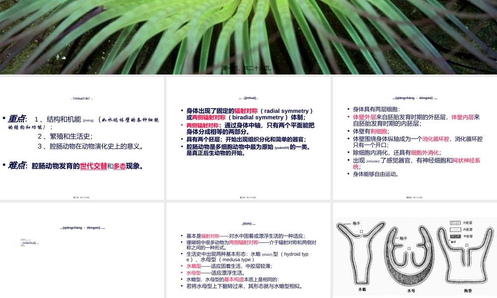 2022年医学专题—第五篇--腔肠动物门.ppt