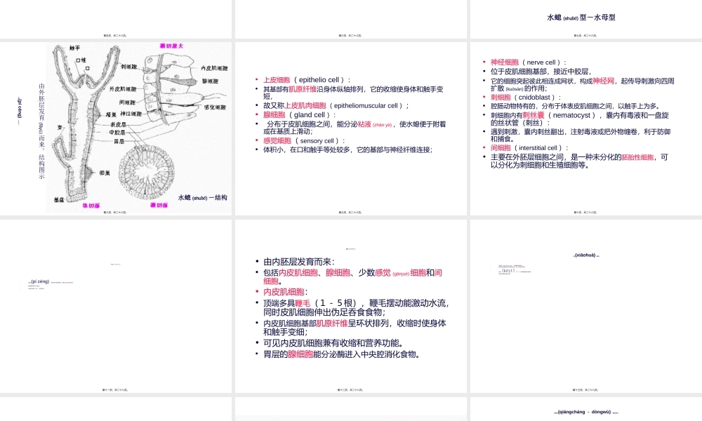 2022年医学专题—第五篇--腔肠动物门.ppt