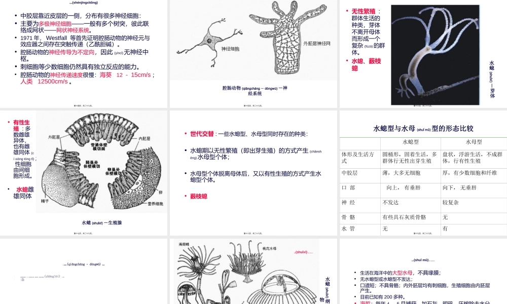 2022年医学专题—第五篇--腔肠动物门.ppt