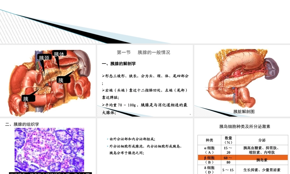 内分泌学.pptx.ppt