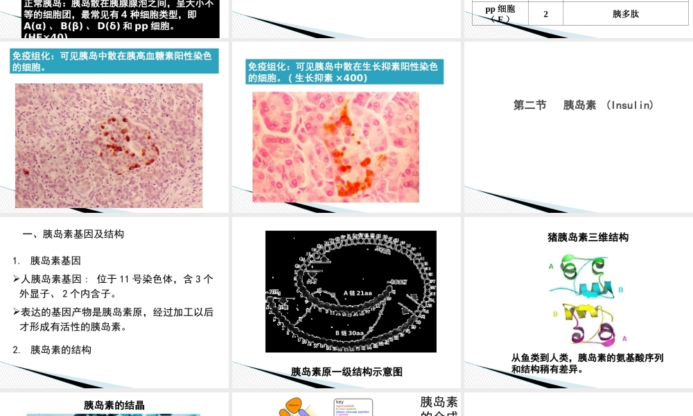 内分泌学.pptx.ppt