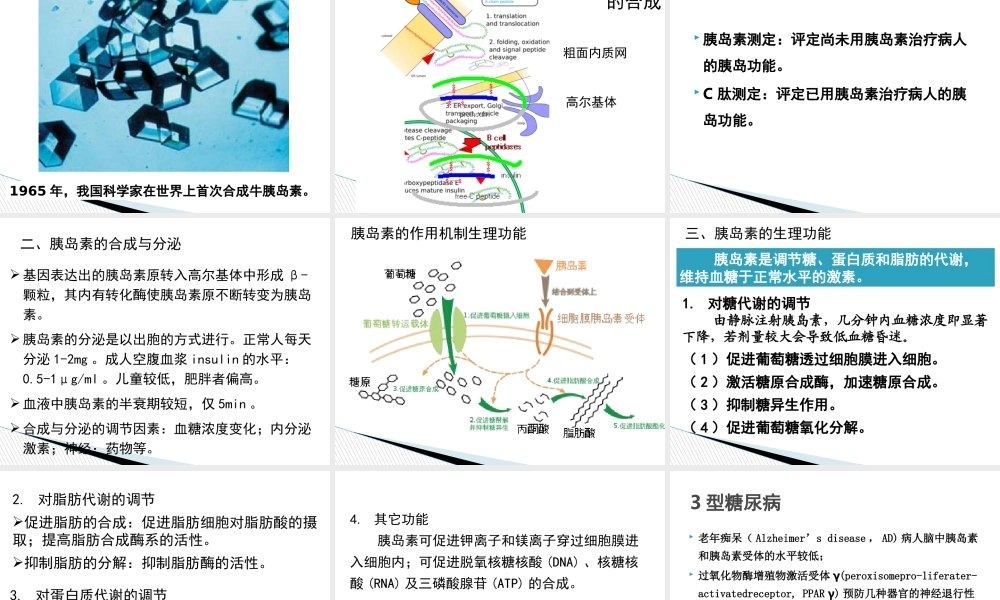 内分泌学.pptx.ppt