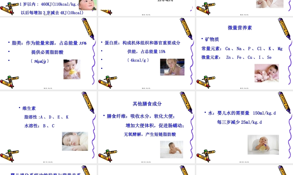 儿童营养基础与婴儿喂养.pptx