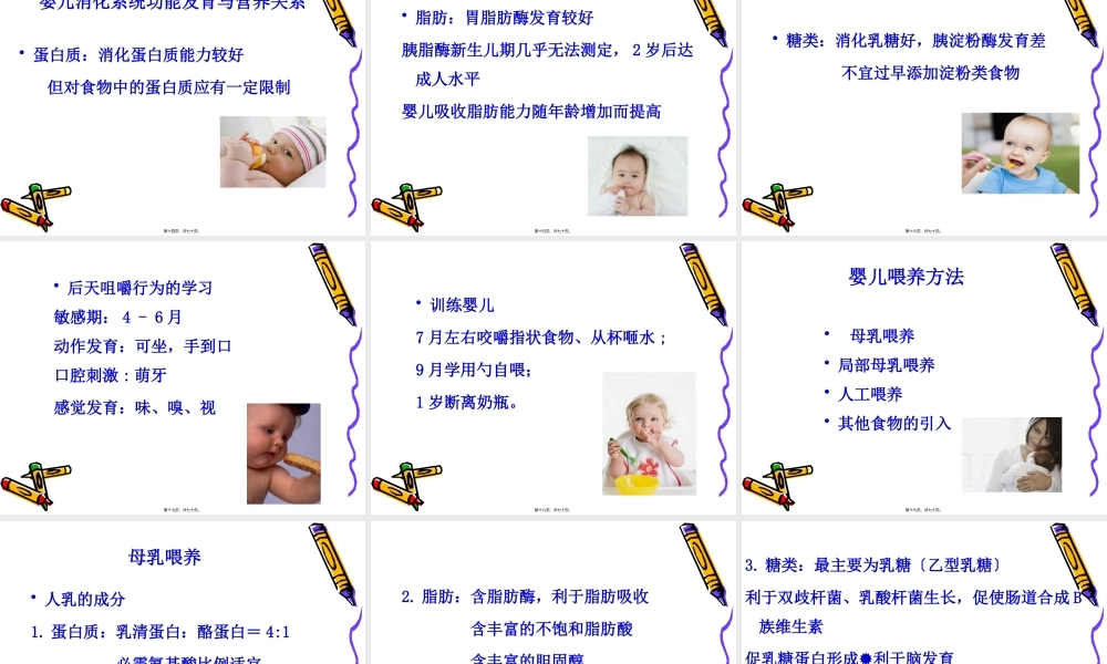 儿童营养基础与婴儿喂养.pptx