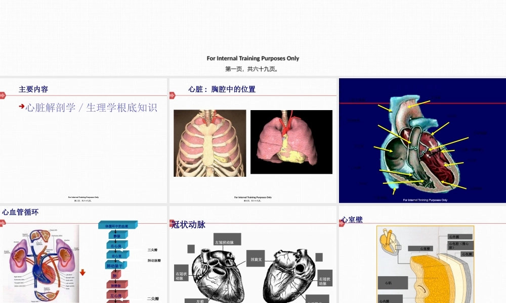 冠状动脉粥样硬化性心脏病基础知识.pptx
