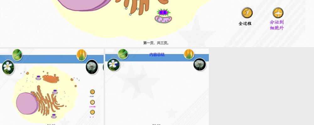 分泌蛋白的合成分泌过程动画.pptx
