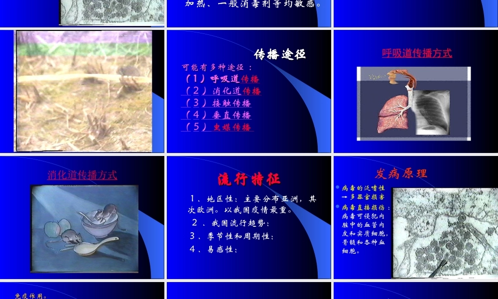 流行性出血热-莫凡.ppt