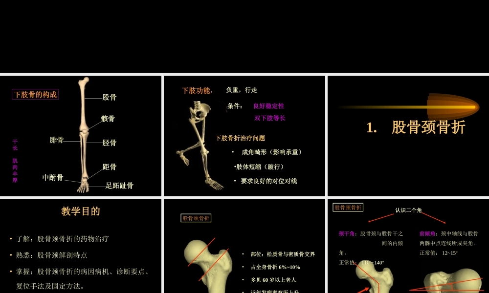 民勤县医院下肢骨折.ppt