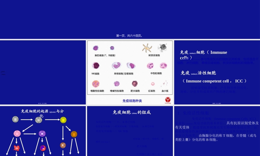 2022年医学专题—B淋巴细胞活化(1).ppt