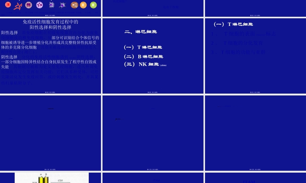 2022年医学专题—B淋巴细胞活化(1).ppt